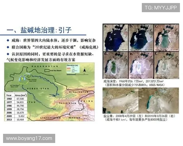 北京羽毛球队实力深度解析与发展前景展望
